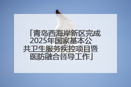 青岛西海岸新区完成2025年国家基本公共卫生服务疾控项目暨医防融合督导工作